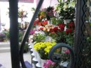 Увеличете снимка 3 - Магазин за Цветя  АКВАРЕЛ